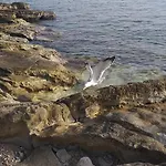 דירה Ivano קרניצה